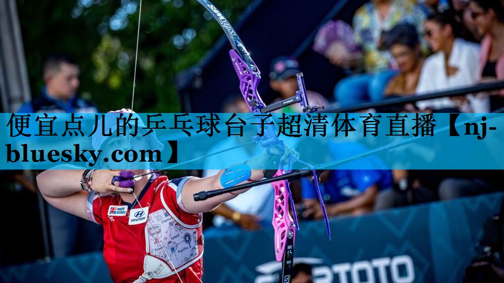 便宜点儿的乒乓球台子超清体育直播