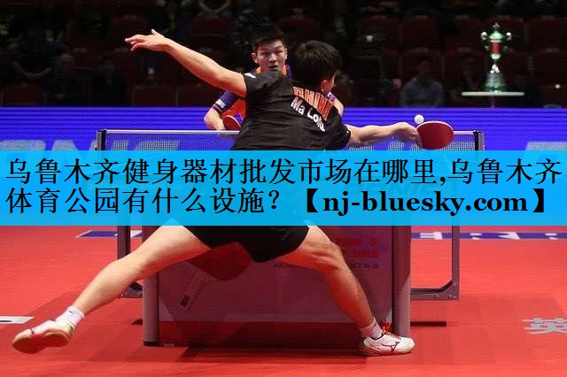 乌鲁木齐健身器材批发市场在哪里,乌鲁木齐体育公园有什么设施？