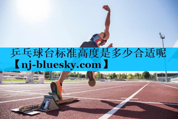 乒乓球台标准高度是多少合适呢