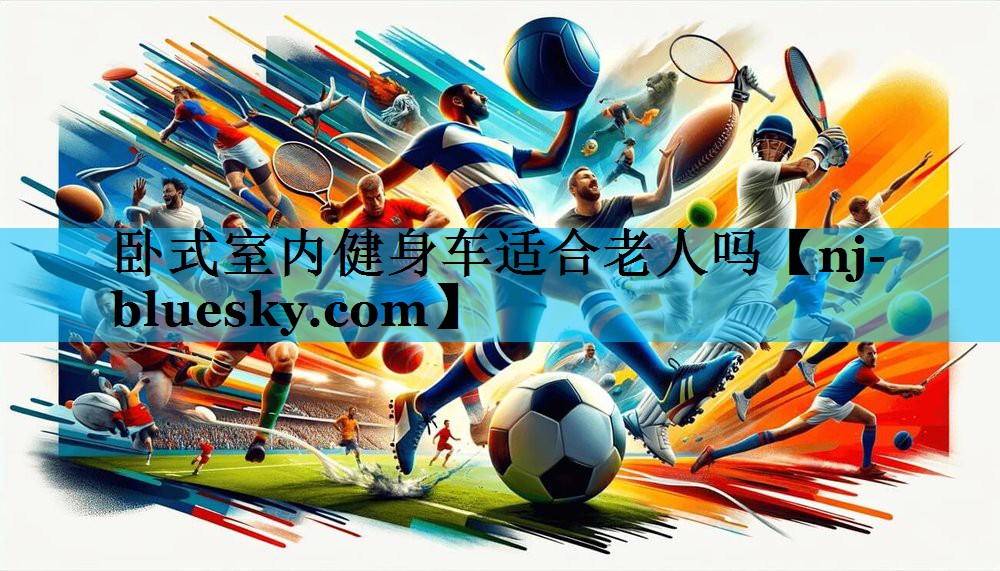 卧式室内健身车适合老人吗