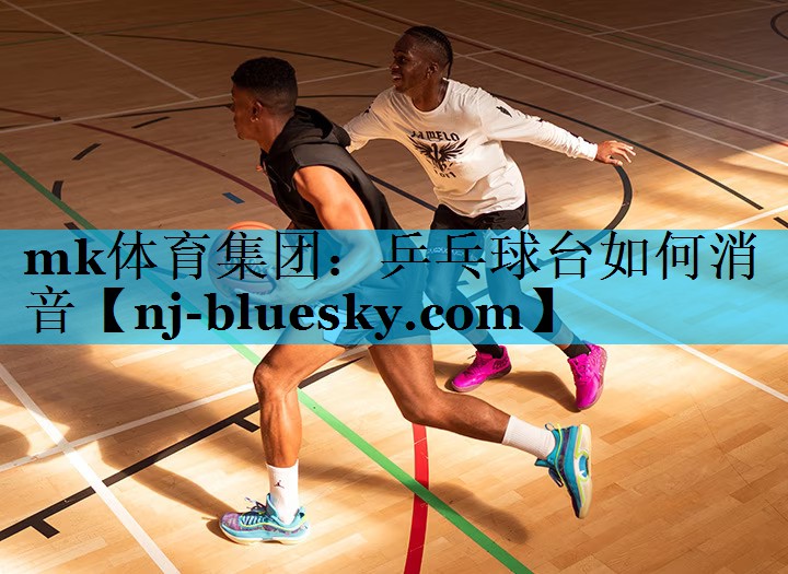 mk体育集团：乒乓球台如何消音