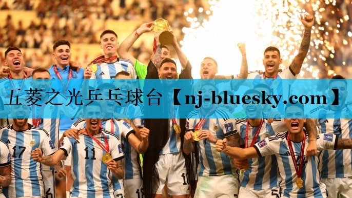 五菱之光乒乓球台