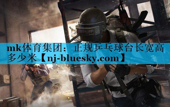 mk体育集团：正规乒乓球台长宽高多少米