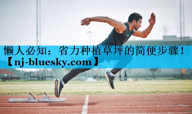 懒人必知：省力种植草坪的简便步骤！