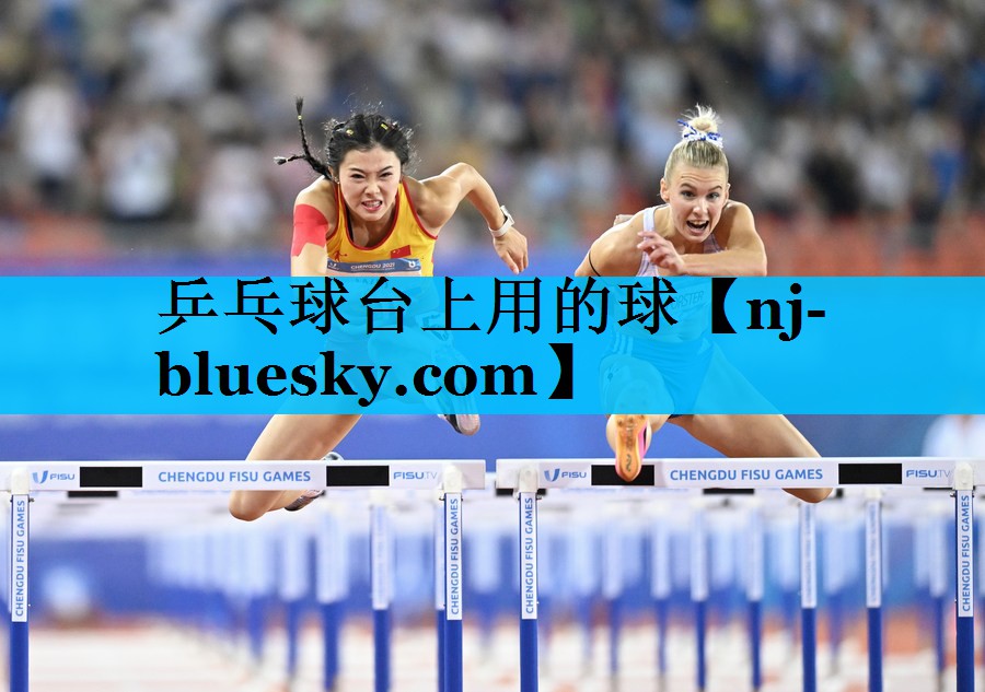 乒乓球台上用的球