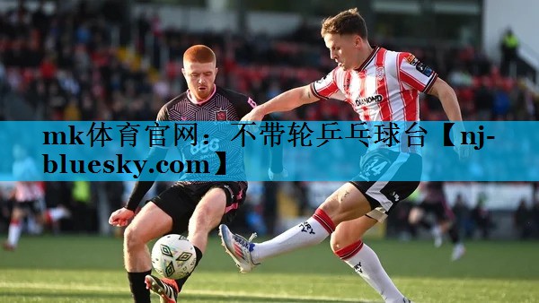 不带轮乒乓球台 不带轮乒乓球台