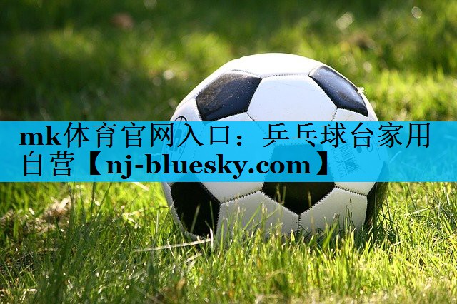 乒乓球台家用自营 乒乓球台家用自营