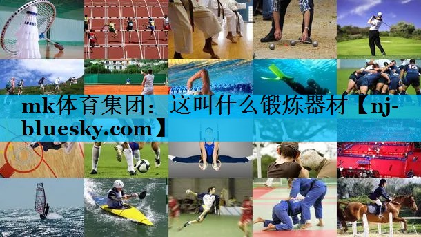 这叫什么锻炼器材 这叫什么锻炼器材