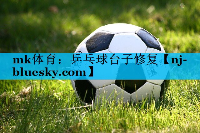 乒乓球台子修复 乒乓球台子修复