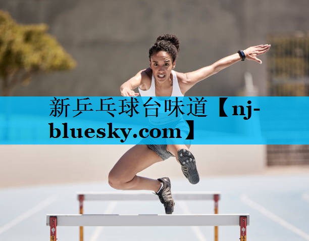 新乒乓球台味道 新乒乓球台味道