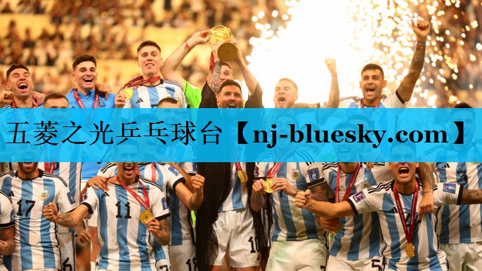 五菱之光乒乓球台 五菱之光乒乓球台