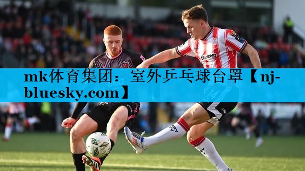 室外乒乓球台罩 室外乒乓球台罩