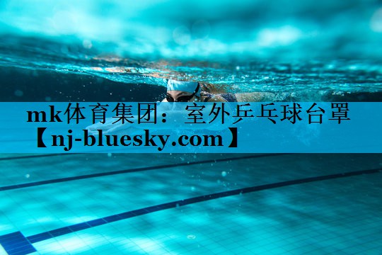 室外乒乓球台罩 室外乒乓球台罩