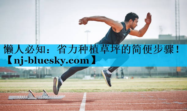 懒人必知:省力种植草坪的简便步骤! 懒人必知:省力种植草坪的简便步骤!