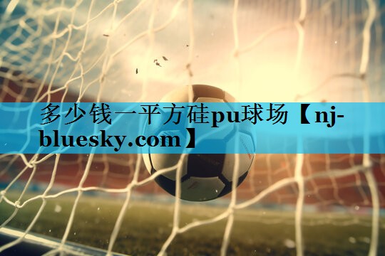 多少钱一平方硅pu球场 多少钱一平方硅pu球场