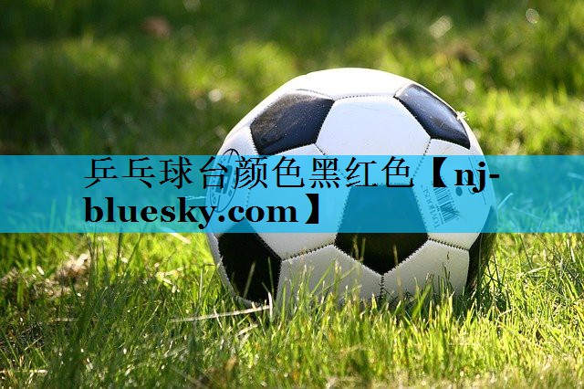 乒乓球台颜色黑红色 乒乓球台颜色黑红色