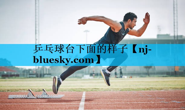 乒乓球台下面的样子 乒乓球台下面的样子
