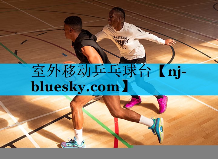 室外移动乒乓球台 室外移动乒乓球台