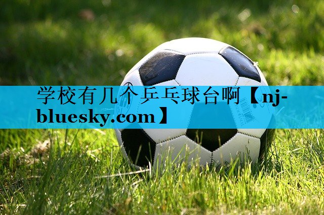 学校有几个乒乓球台啊 学校有几个乒乓球台啊